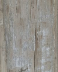 Library open cupboard Italy 18th century - Image 6