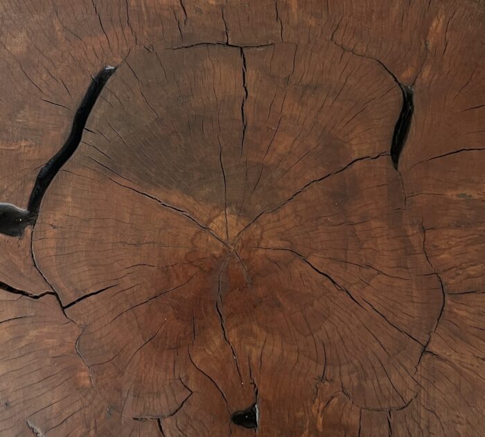 Treestump organic sidetable - Image 4