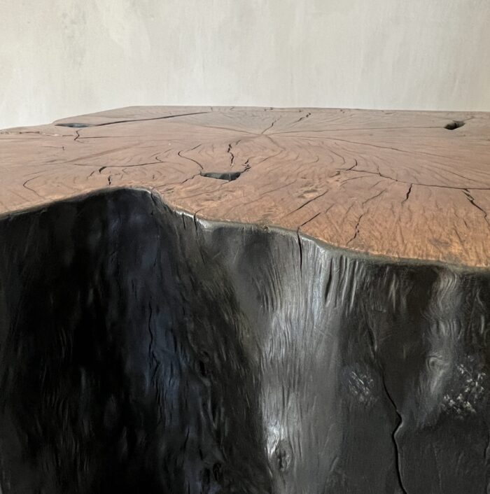Treestump organic sidetable - Image 5
