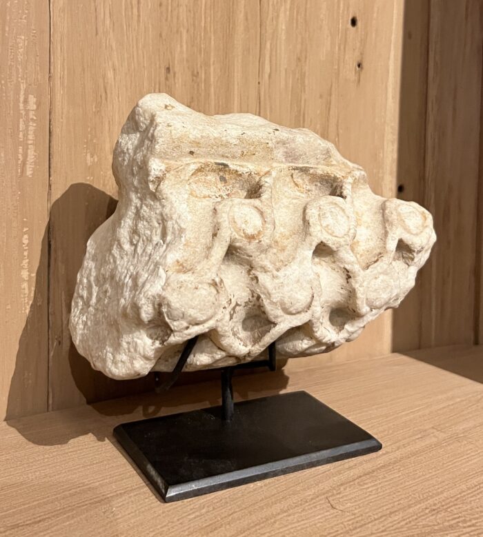 Architectural roman fragment frieze - Image 3